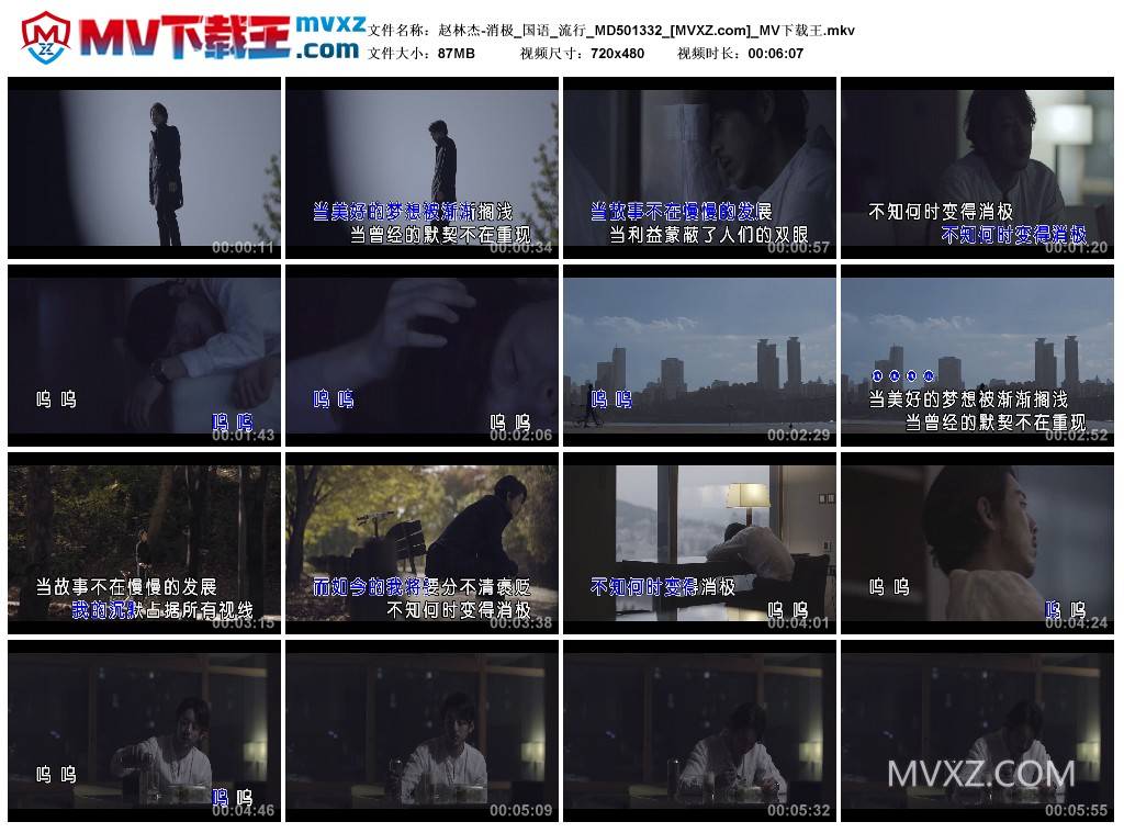 赵林杰-消极_国语_流行_MD501332